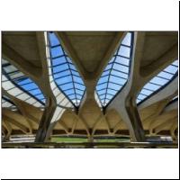 Calatrava-Lyon-05273992.jpg