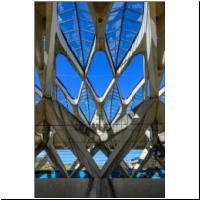 Calatrava-Lyon-05273994.jpg