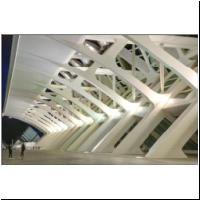 Calatrava-Valencia-05451831.jpg