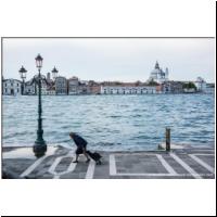Venedig_Giudecca_06880106.jpg