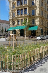 Viennaslide-00010660 Wien, Schwarzenbergstraße, Begrünung // Vienna, Schwarzenbergstraße, Greenery in the Street