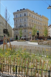 Viennaslide-00010661 Wien, Schwarzenbergstraße, Begrünung // Vienna, Schwarzenbergstraße, Greenery in the Street