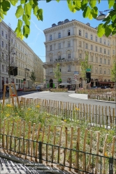 Viennaslide-00010662 Wien, Schwarzenbergstraße, Begrünung // Vienna, Schwarzenbergstraße, Greenery in the Street