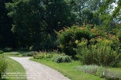 Viennaslide-00030175 Wien, Botanischer Garten - Vienna, Botanical Garden