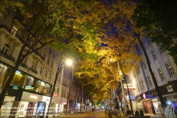 Viennaslide-00061216f Wien, Mariahilferstraße im Herbst, Allee, Säulengleditdschie // Vienna, Mariahilfer Strasse in Autumn, Gleditsia triacanthos 'Skyline' 