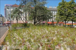 Viennaslide-00101130 Wien, Reumannplatz, Neugestaltung 2020