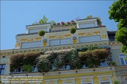 Viennaslide-00200118 Wien, Hannovergasse 5, Fassadenbegrünung // Vienna, Facade Greening