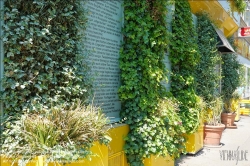 Viennaslide-00200122 Wien, Hannovergasse 5, Fassadenbegrünung // Vienna, Facade Greening