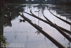 Viennaslide-00316112 Donauüberschwemmung, Donaukaibahnhof, 4.8.1991