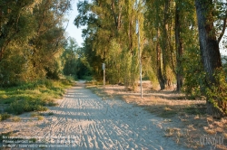 Viennaslide-00316238 Wien, Radweg an der Donau bei Klosterneuburg - Wien, Danube near Klosterneuburg