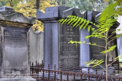 Viennaslide-00371307h Wien, Jüdischer Friedhof Währing - Vienna, Jewish Cemetery Waehring