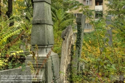 Viennaslide-00371315h Wien, Jüdischer Friedhof Währing - Vienna, Jewish Cemetery Waehring