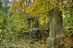 Viennaslide-00371317h Wien, Jüdischer Friedhof Währing - Vienna, Jewish Cemetery Waehring