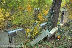 Viennaslide-00371320h Wien, Jüdischer Friedhof Währing - Vienna, Jewish Cemetery Waehring