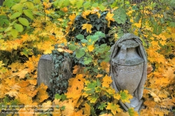 Viennaslide-00371323h Wien, Jüdischer Friedhof Währing - Vienna, Jewish Cemetery Waehring