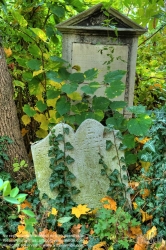 Viennaslide-00371324h Wien, Jüdischer Friedhof Währing - Vienna, Jewish Cemetery Waehring