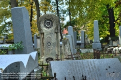 Viennaslide-00371345h Wien, Jüdischer Friedhof Währing - Vienna, Jewish Cemetery Waehring