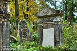 Viennaslide-00371350h Wien, Jüdischer Friedhof Währing - Vienna, Jewish Cemetery Waehring