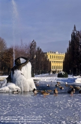 Viennaslide-01020102 Wien, Schloss Schönbrunn, Schlosspark, Winter, Sternbassin - Vienna, Schönbrunn Palace, Winter