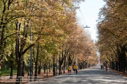 Viennaslide-01034109 Wien, Prater, Hauptallee, Herbst