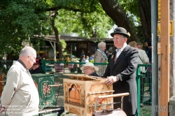 Viennaslide-01039152 Wien, Böhmischer Prater, Drehorgeltreffen