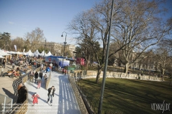 Viennaslide-01116376 Wien, Rathaus, Eistraum - Vienna, Town Hall, Eistraum, Ice Rink