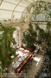 Viennaslide-01119233 Wien, Burggarten, Palmenhaus, Cafe im Innenraum von Eichinger und Knechtl 1998