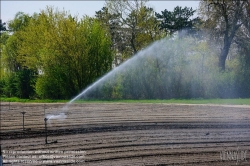 Viennaslide-04220118 Felder bei Aderklaa im Marchfeld, künstliche Bewässerung // Farmland in Austria near Aderklaa, artificial irrigation