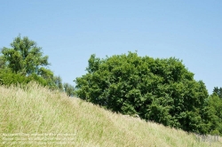 Viennaslide-04385519 Landschaft bei Wieselburg