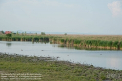 Viennaslide-04731208 Burgenland, Rust am Neusiedlersee