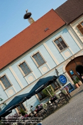 Viennaslide-04731211 Burgenland, Störche in Rust am Neusiedlersee