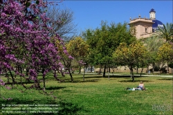 Viennaslide-05451119 Valencia, Turia-Park // Valencia, Turia Gardens