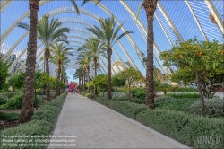 Viennaslide-05451753 Spanien, Valencia, Santiago Calatrava, Ciutat de les Arts i les Ciències, Stadt der Künste und Wisenschaften, L’Umbracle // Spain, Valencia, Santiago Calatrava, City of Arts an Sciences, Ciutat de les Arts i les Ciències, L’Umbracle