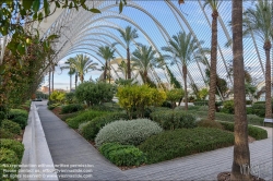 Viennaslide-05451757 Spanien, Valencia, Santiago Calatrava, Ciutat de les Arts i les Ciències, Stadt der Künste und Wisenschaften, L’Umbracle // Spain, Valencia, Santiago Calatrava, City of Arts an Sciences, Ciutat de les Arts i les Ciències, L’Umbracle