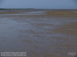 Viennaslide-05900208 Texelist eine Nordseeinsel in der niederländischen Provinz Nordholland sowie der Name der auf ihr liegenden Gemeinde. Die Insel ist die größte und westlichste der Westfriesischen Inseln. Sie ist ein beliebtes Tourismusziel; ihre abwechslungsreiche Landschaft beherbergt eine reichhaltige Tier- und Pflanzenwelt.