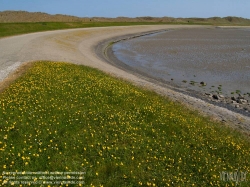 Viennaslide-05900220 Texelist eine Nordseeinsel in der niederländischen Provinz Nordholland sowie der Name der auf ihr liegenden Gemeinde. Die Insel ist die größte und westlichste der Westfriesischen Inseln. Sie ist ein beliebtes Tourismusziel; ihre abwechslungsreiche Landschaft beherbergt eine reichhaltige Tier- und Pflanzenwelt.