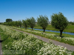 Viennaslide-05918922 Amsterdam, an der Amstel, Wester-Amstel, Middelpolder, Grünes Gebiet Amstelland, ein Joint Venture zwischen den Gemeinden Amsterdam , Amstelveen , Diemen , Ouder-Amstel und der Provinz Noord-Holland , ist die Organisation, die das ländliche Gebiet zwischen Amstelveen und Amsterdam-Rijnkanaal verwaltet . Zu diesen Gebieten gehören neben Naturgebieten auch Erholungsgebiete und Wiesen. - Amsterdam, along the Amstel River, Wester-Amstel, Middelpolder