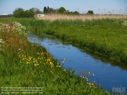 Viennaslide-05918932 Amsterdam, an der Amstel, Wester-Amstel, Middelpolder, Grünes Gebiet Amstelland, ein Joint Venture zwischen den Gemeinden Amsterdam , Amstelveen , Diemen , Ouder-Amstel und der Provinz Noord-Holland , ist die Organisation, die das ländliche Gebiet zwischen Amstelveen und Amsterdam-Rijnkanaal verwaltet . Zu diesen Gebieten gehören neben Naturgebieten auch Erholungsgebiete und Wiesen. - Amsterdam, along the Amstel River, Wester-Amstel, Middelpolder