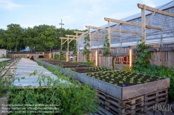 Viennaslide-05221640 Nantes, Restaurant La Cantine du Voyage, Urban Gardening