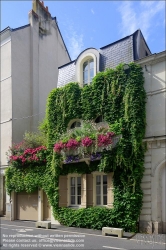 Viennaslide-05222049 Angers, begrüntes Haus // Angers, Green Facade