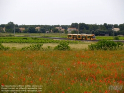 Viennaslide-05292043 Montpellier, moderne Tramway, Linie 2, Jacou