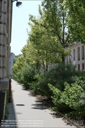 Viennaslide-05314036 Paris, Rue de Sully, Baumreihe // Paris, Rue de Sully, new planted Trees