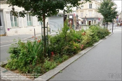 Viennaslide-05319059 Paris, Rue Blanche, Straenbegrnung // Paris, Rue Blanche, Greening