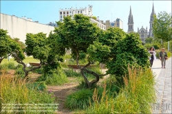 Viennaslide-05321137 Paris, Parc Saint-Ambroise, Jardin Truillot // Paris, Parc Saint-Ambroise, Jardin Truillot