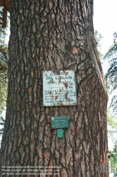 Viennaslide-05338221 Der Jardin des Plantes ist ein Botanischer Garten in Paris mit einer Fläche von 23,5 ha. Er liegt im Südosten der Stadt, am südlichen Ufer der Seine im 5. Arrondissement zwischen der Pariser Moschee und der wissenschaftlichen Fakultät „Jussieu“.