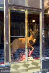 Viennaslide-05341122 Die Galerie Véro-Dodat ist eine überdachte Ladenpassage mit Glasdach aus dem 19. Jahrhundert im 1. Arrondissement in Paris. Die Galerie Véro-Dodat ist seit 1965 ein schützenswertes Denkmal (monument historique). 1826 wurde die Galerie von zwei Metzgern, Benoît Véro und Dodat, errichtet. Sie verband auf dem kürzesten Weg die Hallen mit dem Palais Royal. Während der Zeit der Restauration im neoklassizistischen Stil erbaut.