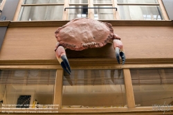 Viennaslide-05342025 Die Passage du Grand-Cerf ist eine überdachte Ladenpassage mit Glasdach aus der ersten Hälfte des 19. Jahrhunderts im 2. Arrondissement in Paris. Die Passage du Grand-Cerf befindet sich zwischen 10, rue Dussoubs und 145, rue Saint-Denis, in einem gemischten Wohn- und Geschäftsviertel in der Nähe der Grands Boulevards