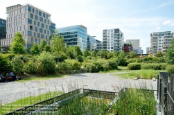 Viennaslide-05369704 Paris, Stadtentwicklungsgebiet Rive Gauche,  Jardin des Grands Moulins - Paris, City Development Project Rive Gauche,  Jardin des Grands Moulins