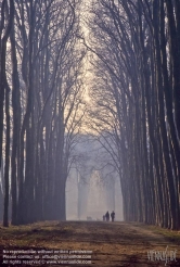 Viennaslide-05371053 Versailles, Schlosspark - Versailles, Palace Garden