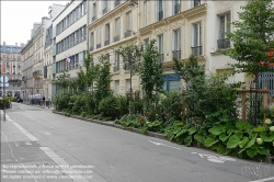 Viennaslide-05380104 Paris, Rue de Bruxelles, Straßenbegrünung // Paris, Rue de Bruxelles, Greening